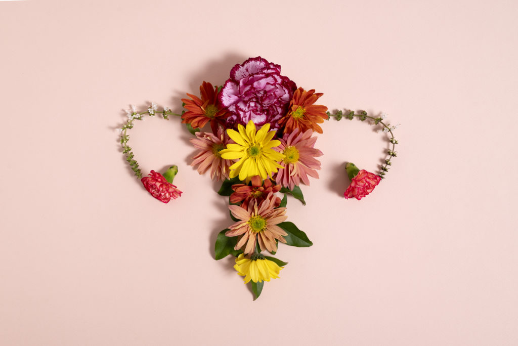Abstract portrait of the female reproductive system made from flowers